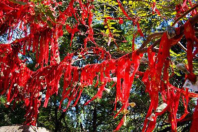 《红色沙漠》《黑神话：悟空》《潜行者2》将出席科隆展