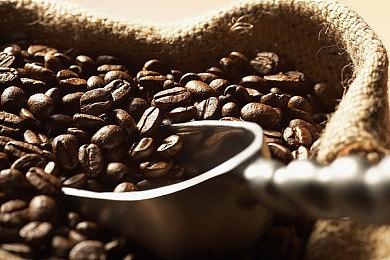 塔防棋盘肉鸽游戏《箭之岛屿》上线Steam 2022年夏发售