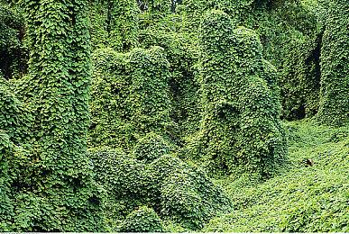 考验IQ的爆改版“推箱子”游戏 《Line Time》正式定档9月12日发售